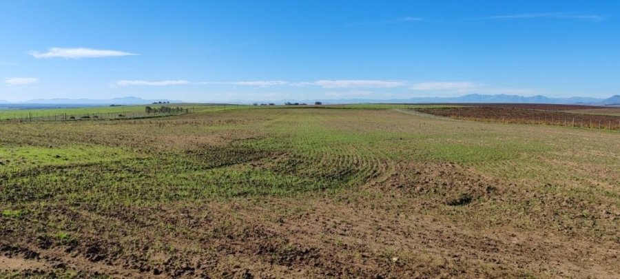 0 Bedroom Property for Sale in Darling Western Cape